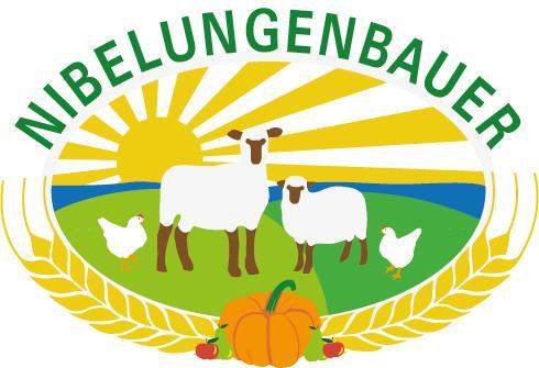 Gasthof Zum Nibelungenbauer Poechlarn Luaran gambar